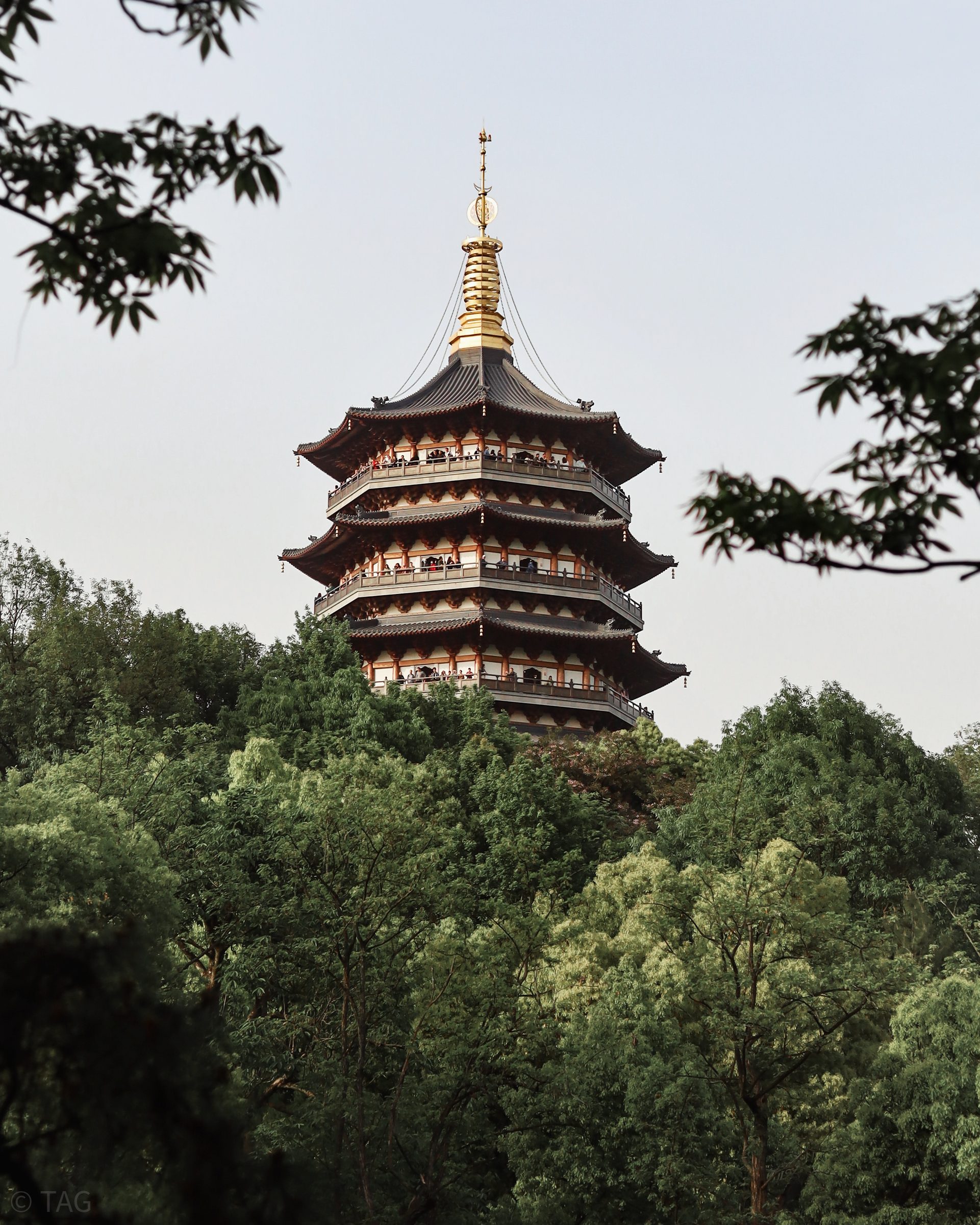 Selected Photograph