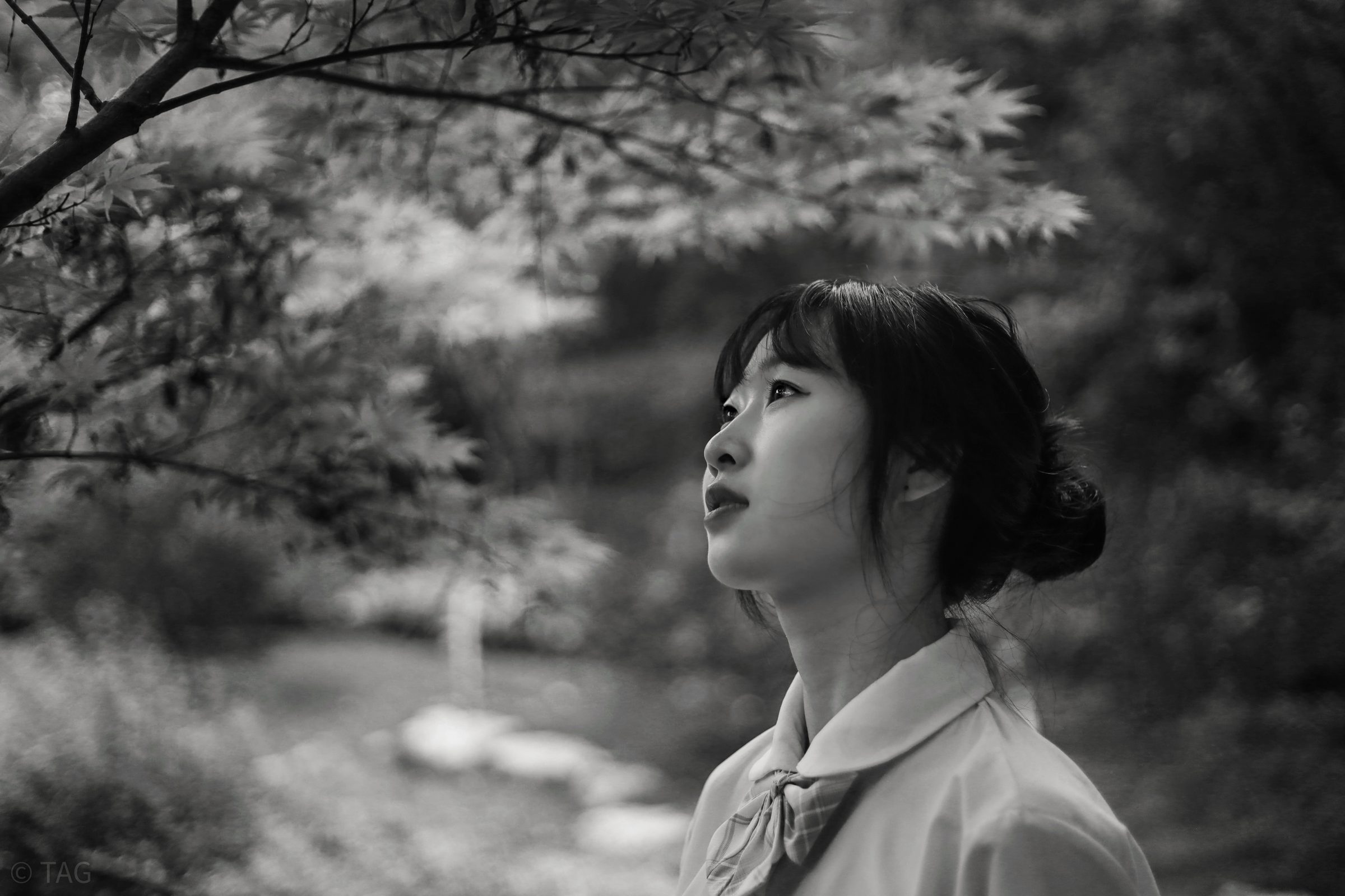 Selected Photograph