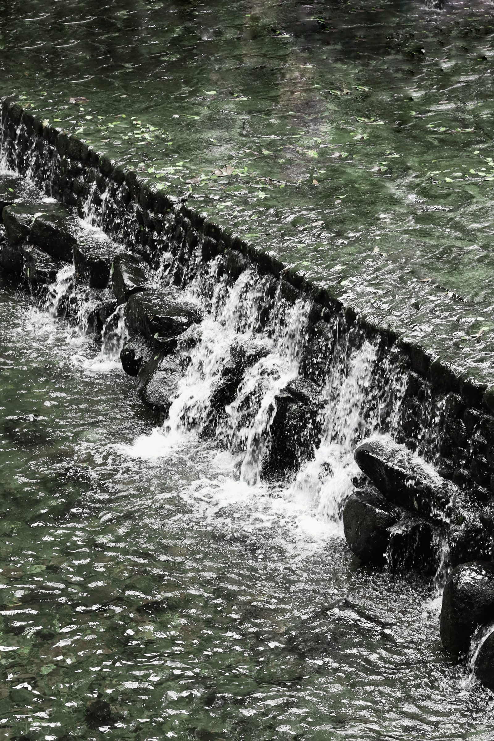 Selected Photograph