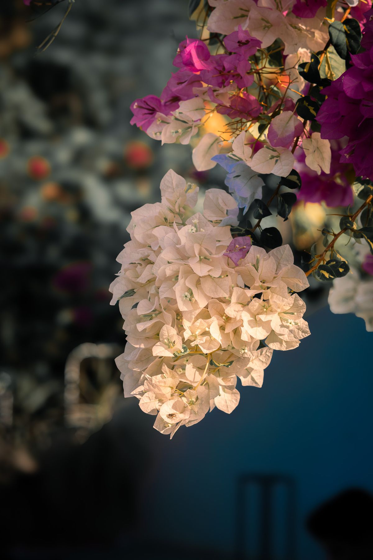 Selected Frame